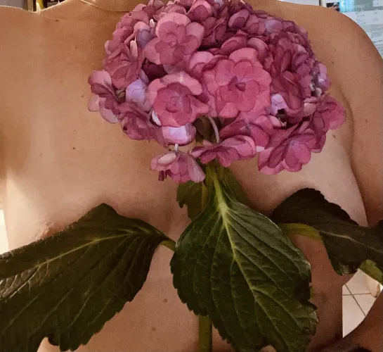 Fichu fleur.... Qui veut voir mes boobies ????