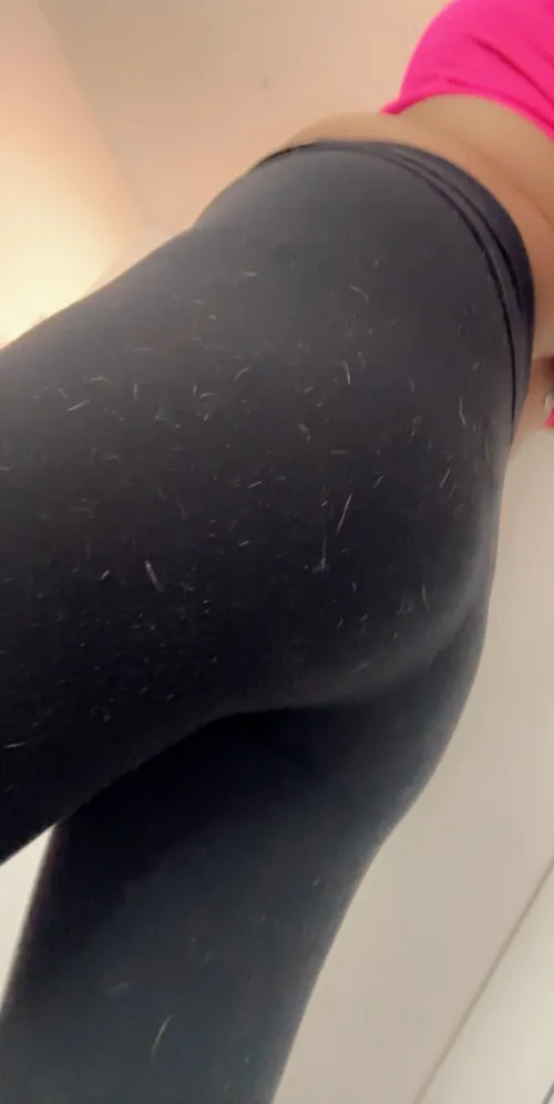 Just had these daddies use me as I was taught and free used me till they all were done breeding me more than once each