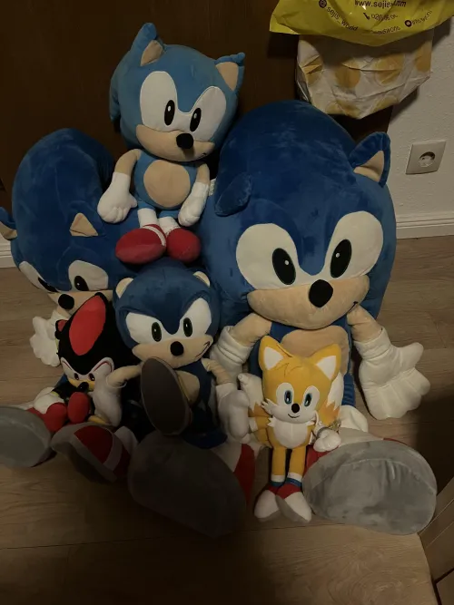 Who would you choose?