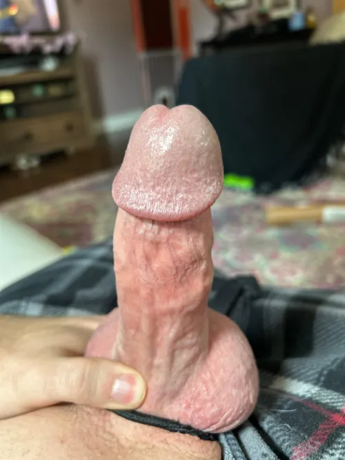 (39) horny dad from Chicago