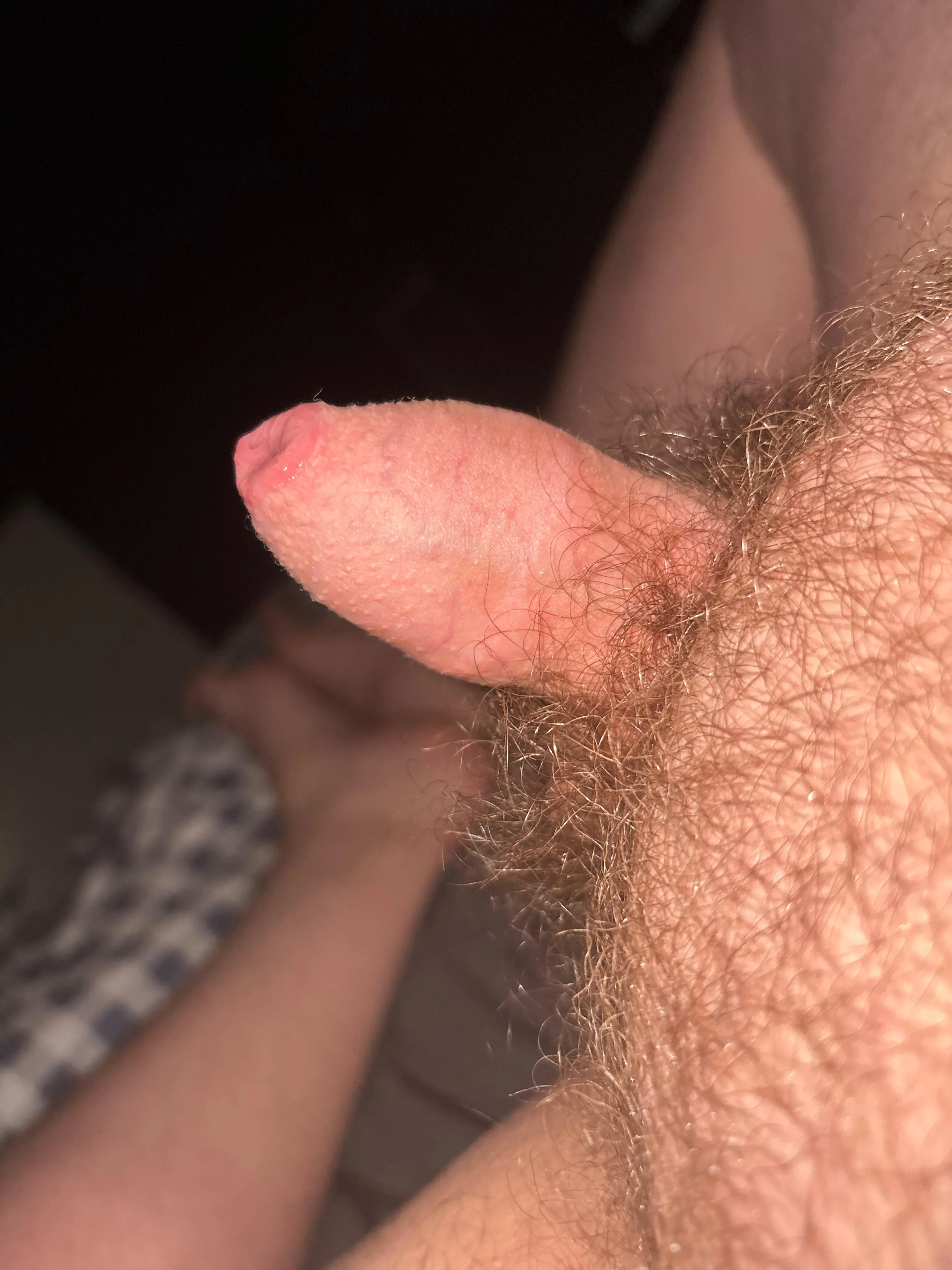 Need a F to appreciate this tiny dick