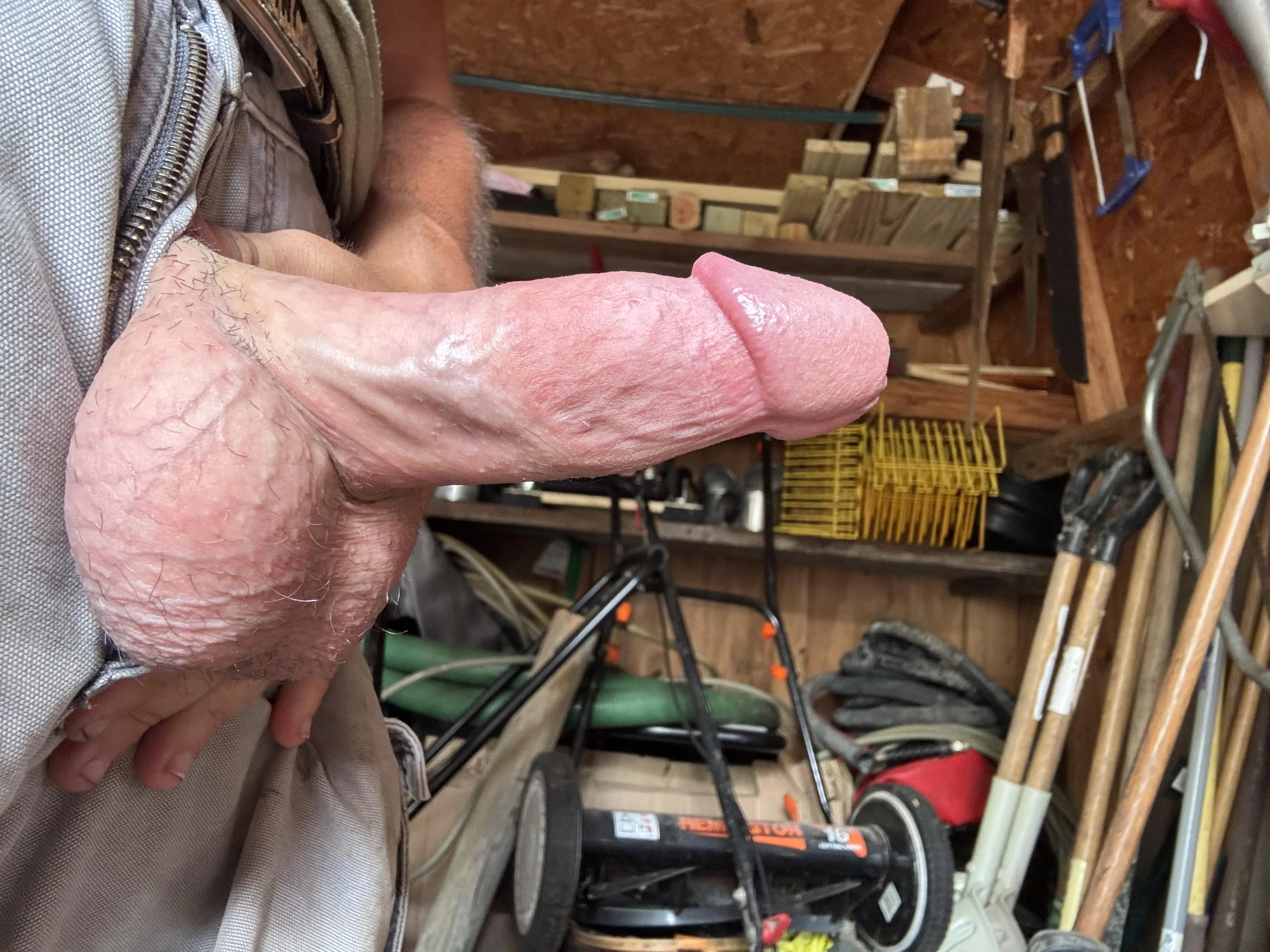 Sneak into my work shed if you dare