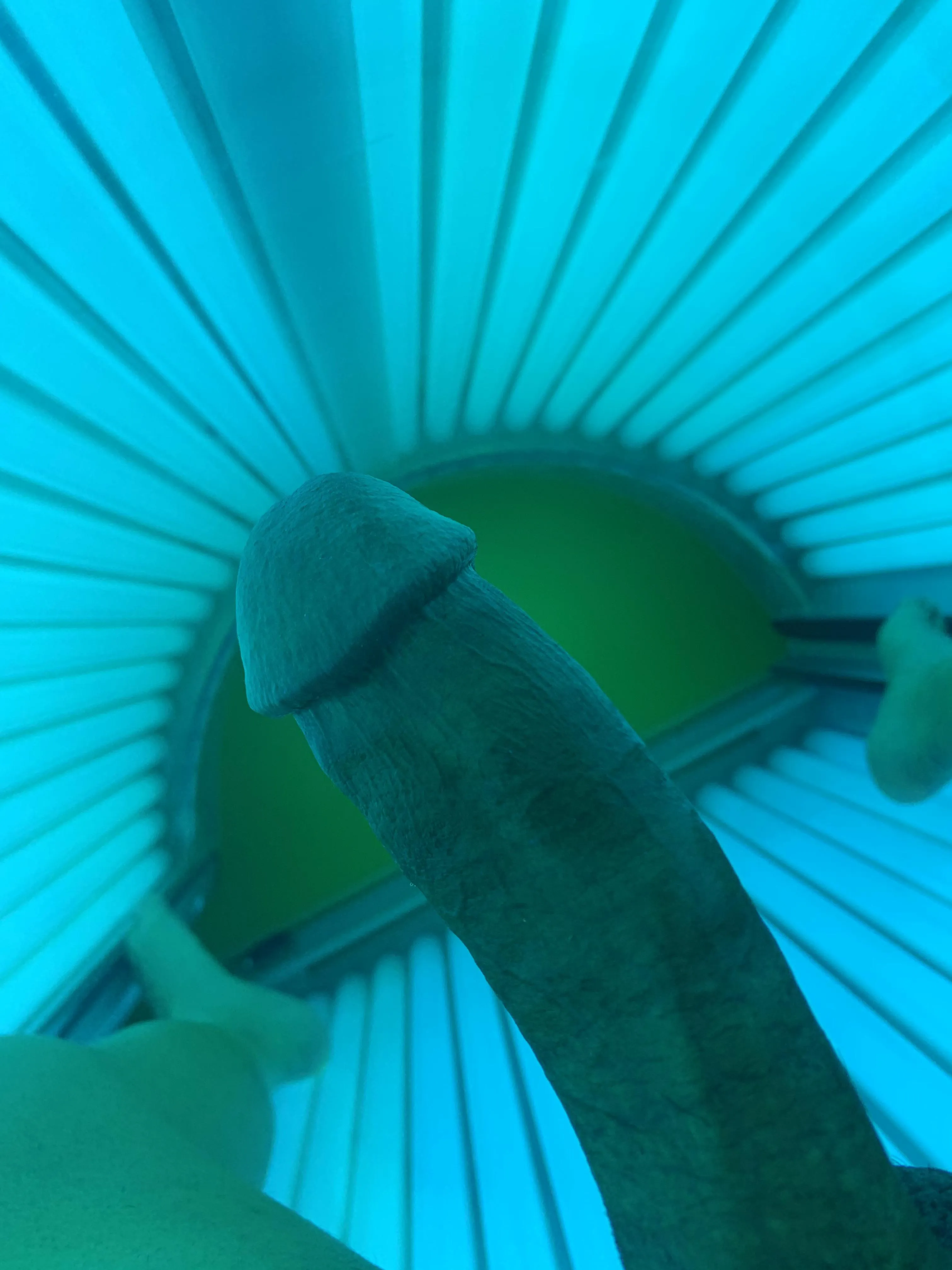 At your local Planet Fitness babes