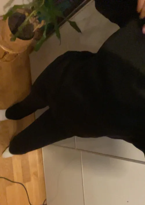 ❤️ för en 🎁 ➡️ 💬