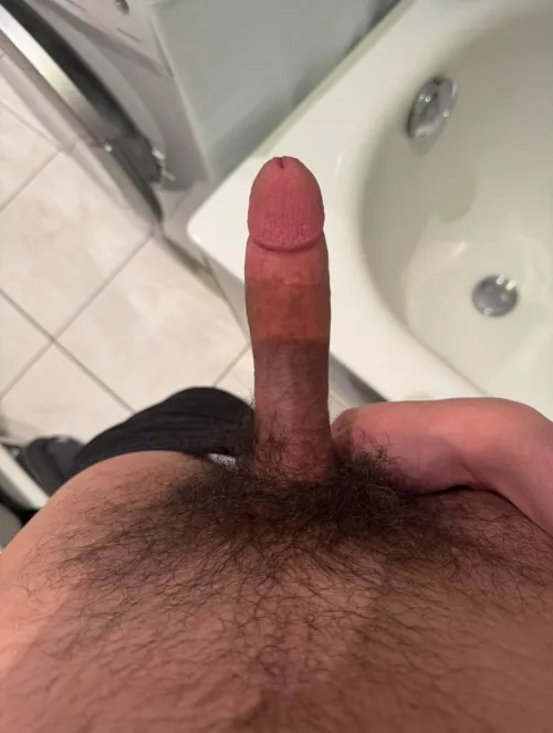 Let’s compare bushes bros (27)