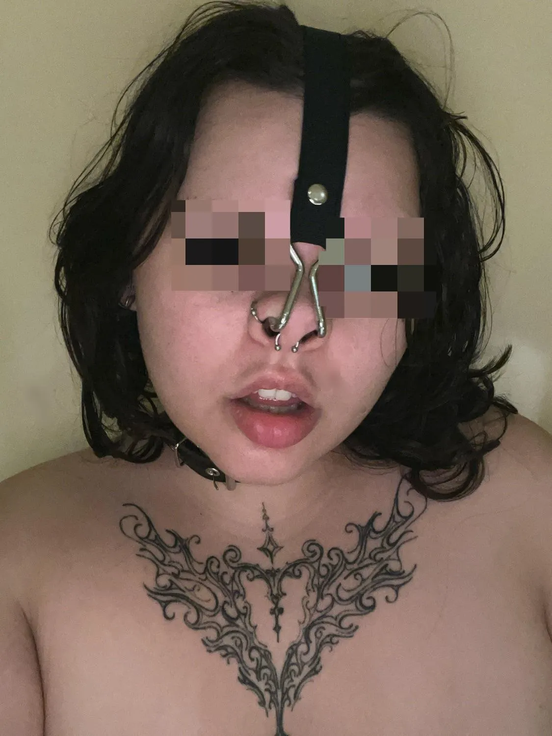 New hook and collar yayay