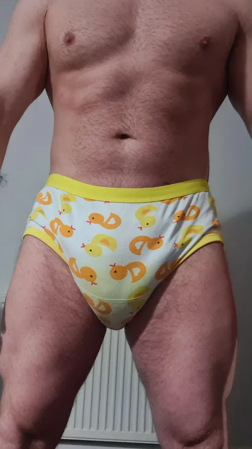 What do we think of the ducks?