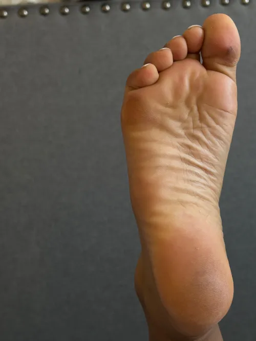 You’ve spent more on me than you’ve ever had on your pathetic little wife