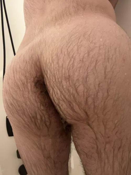 Age [25] hmu if you like it hairy bros