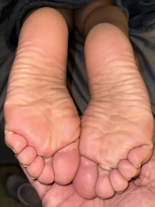 Dominican Soles