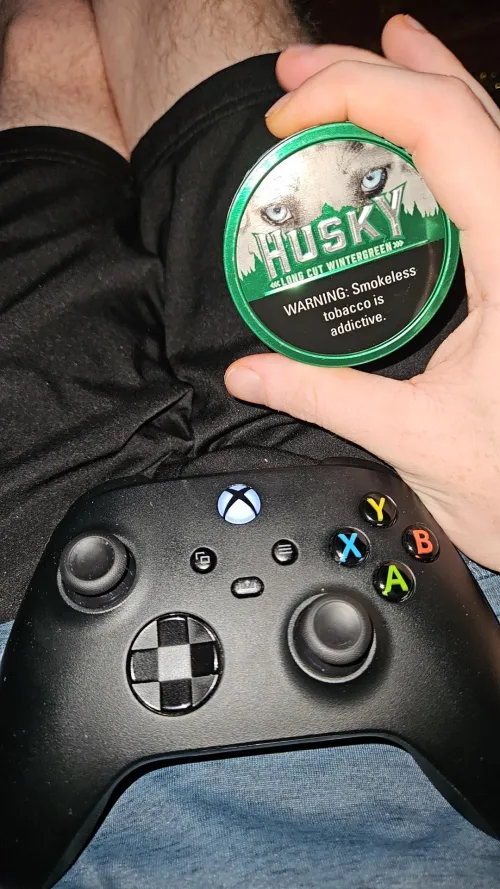 Husky Wintergreen