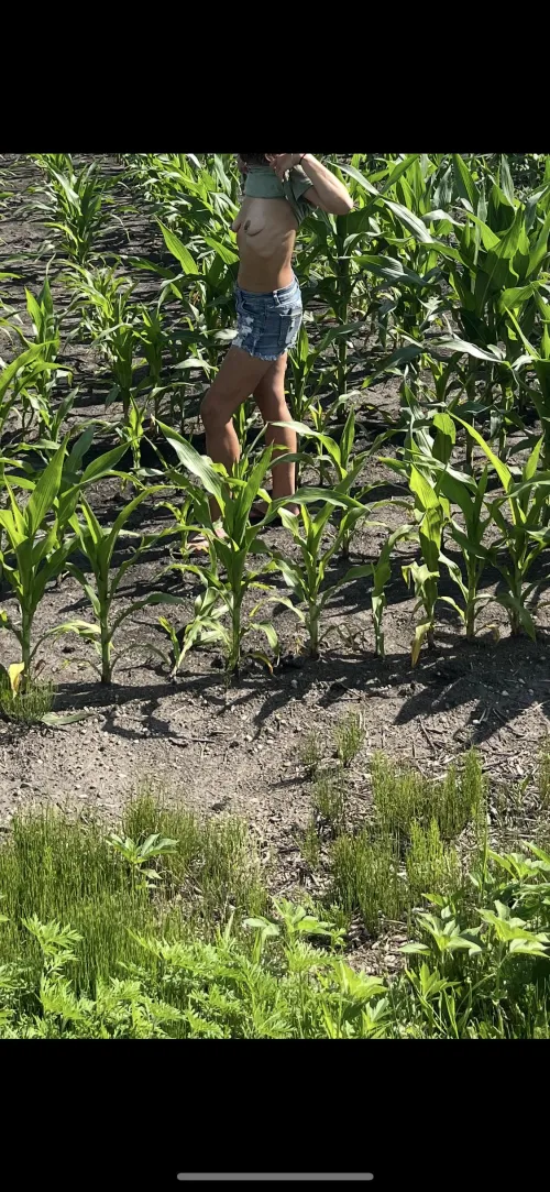 Knee high for sure. #hotwife