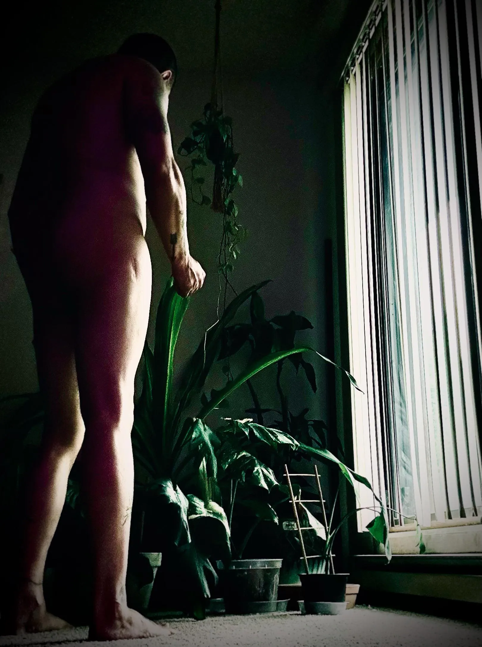 My little corner of the world