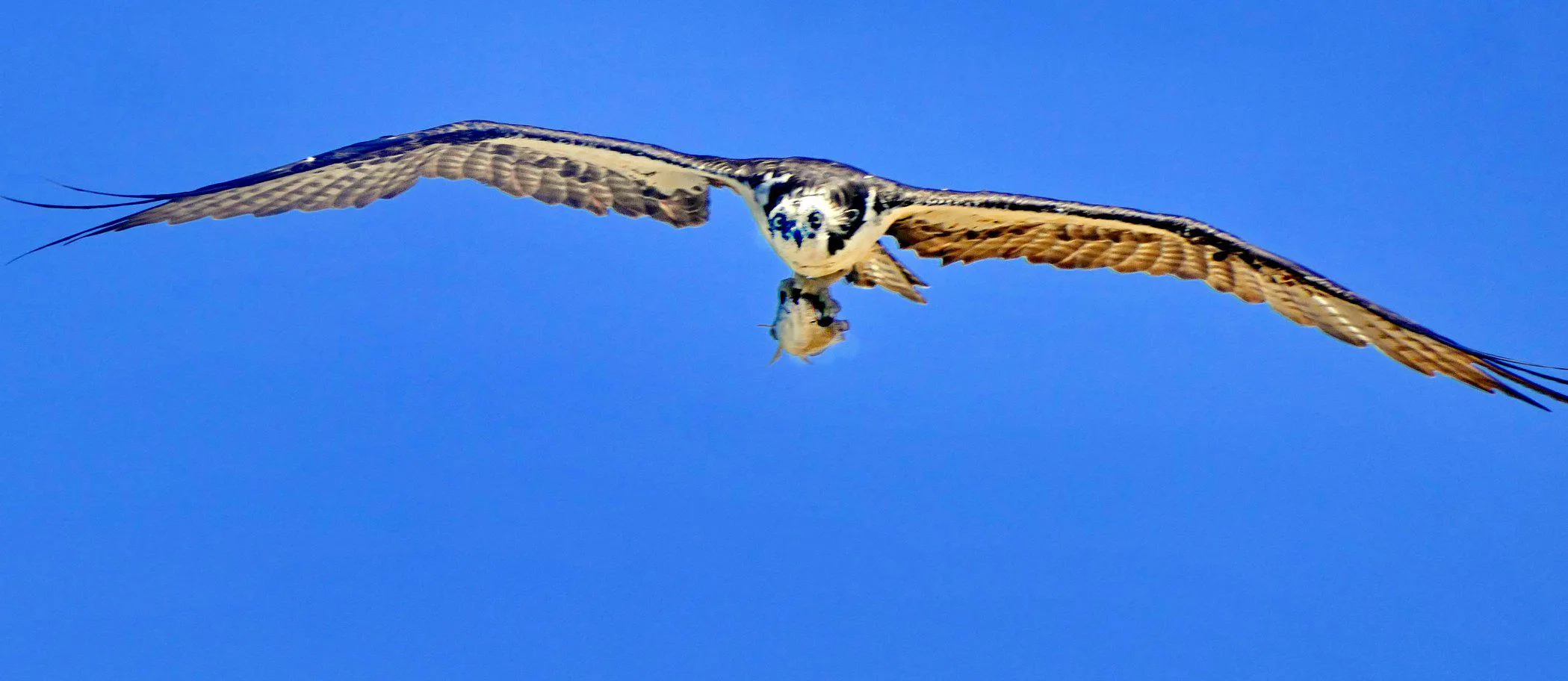 Sophie taking a lunch break
