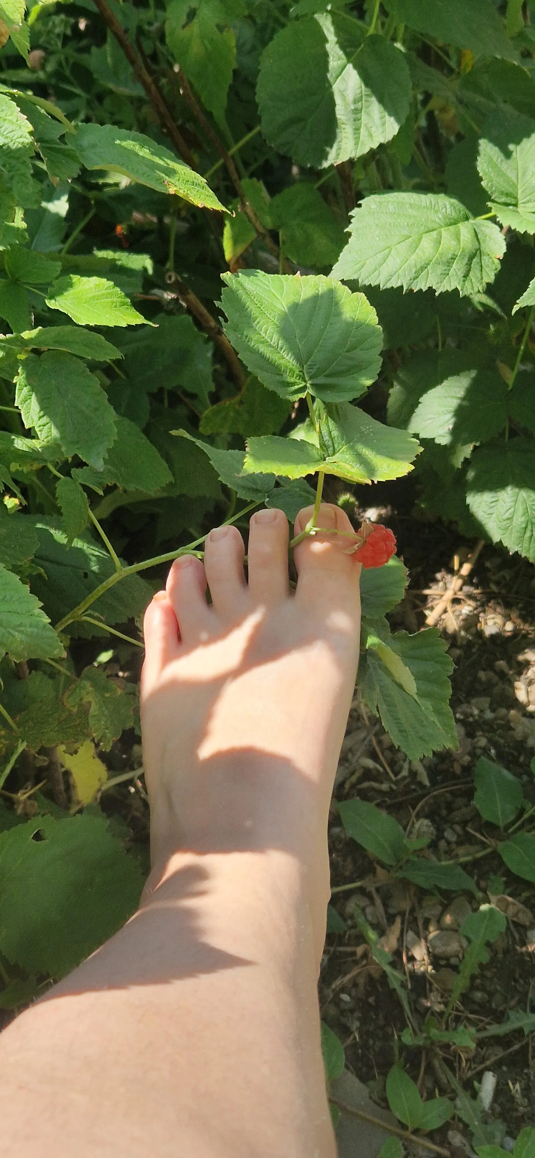 Squish the raspberry on my toes and suck on them after🤤