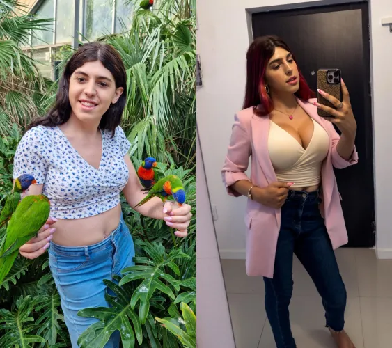 Trying a more professional look, what do you think?