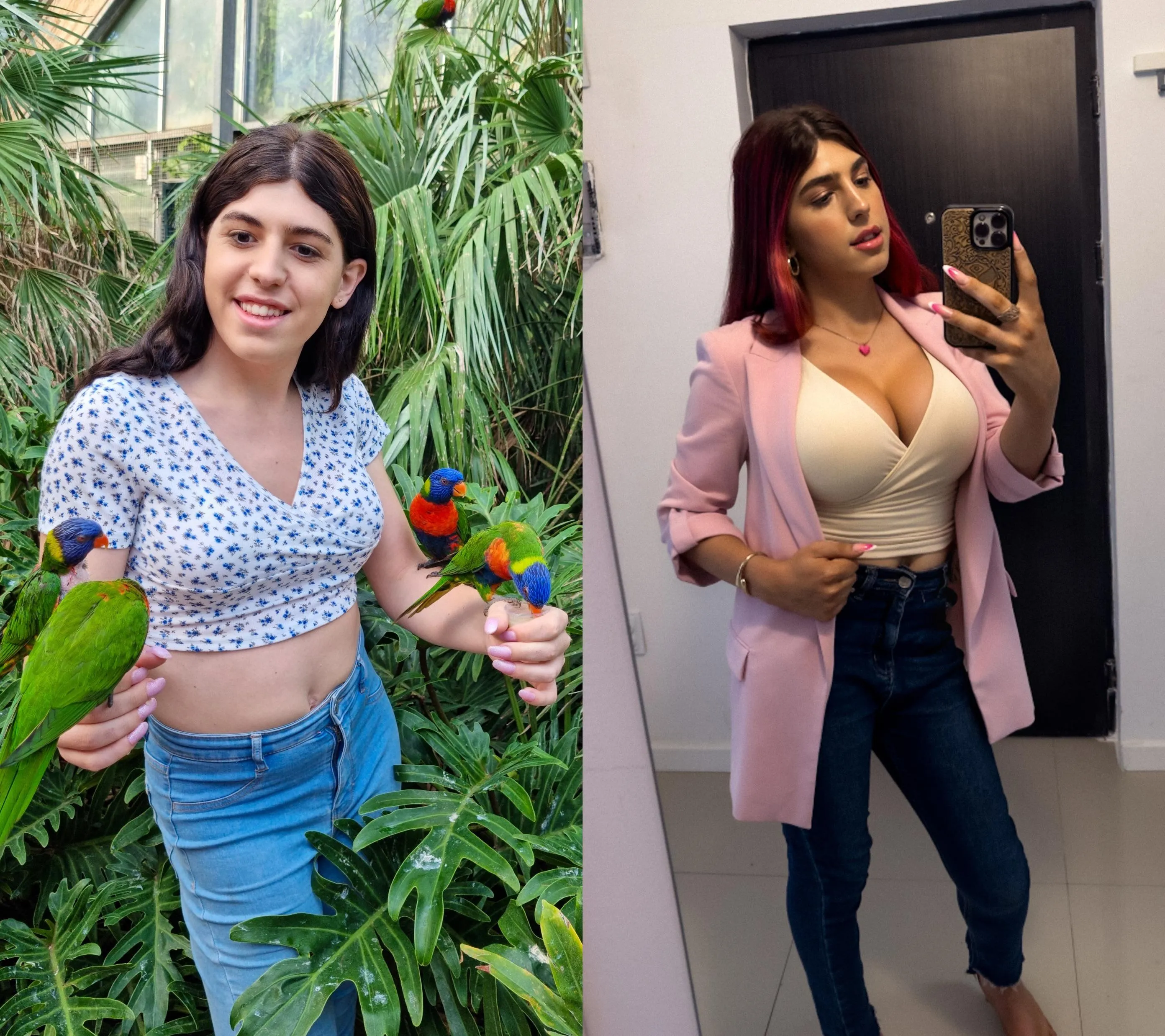 Trying a more professional look, what do you think?