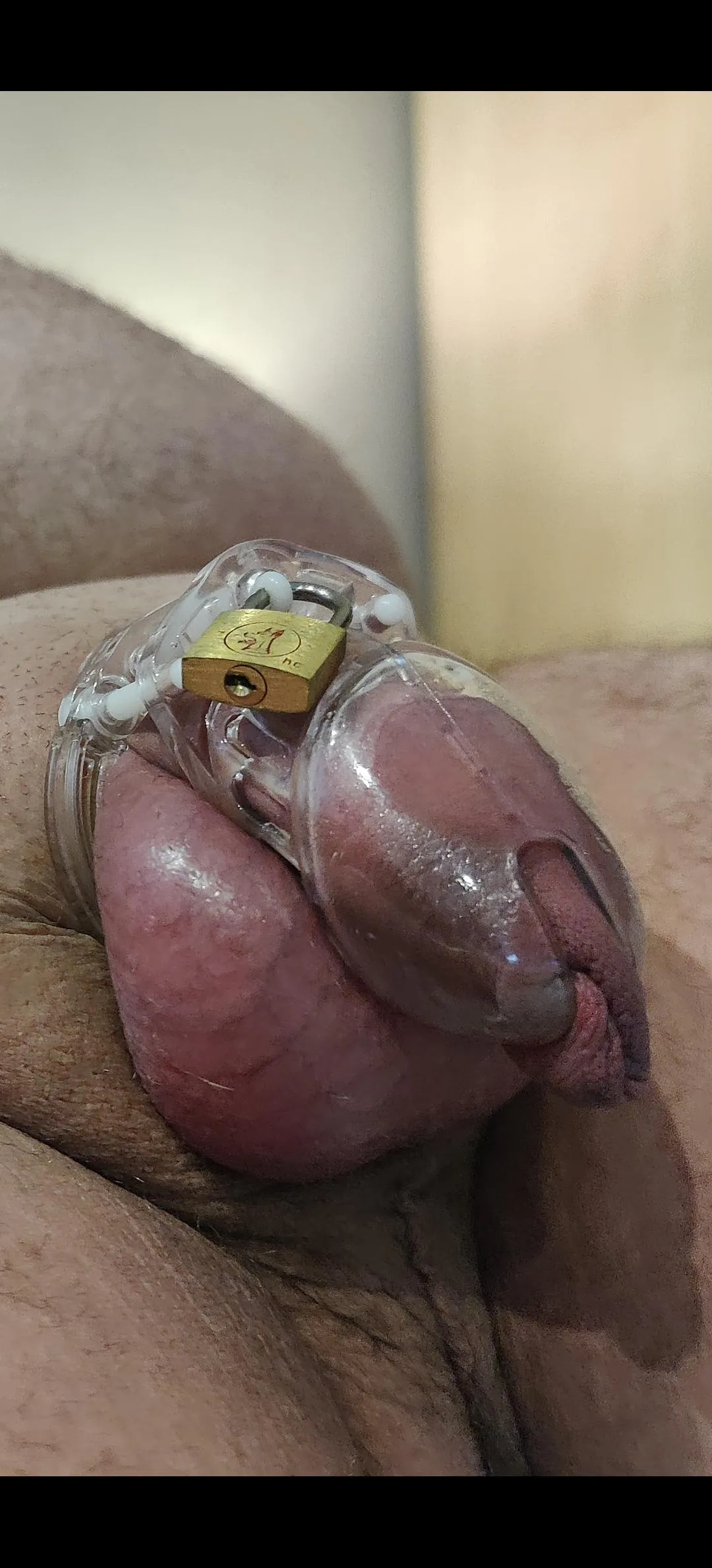 Was denkt ihr steht mir der Cage ?