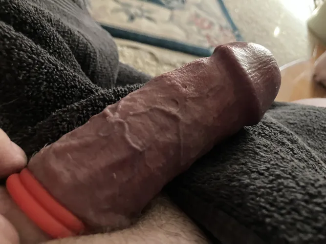 What would you do to my naughty ringed cock?