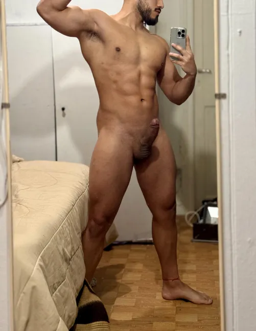 Would you let me breed you?