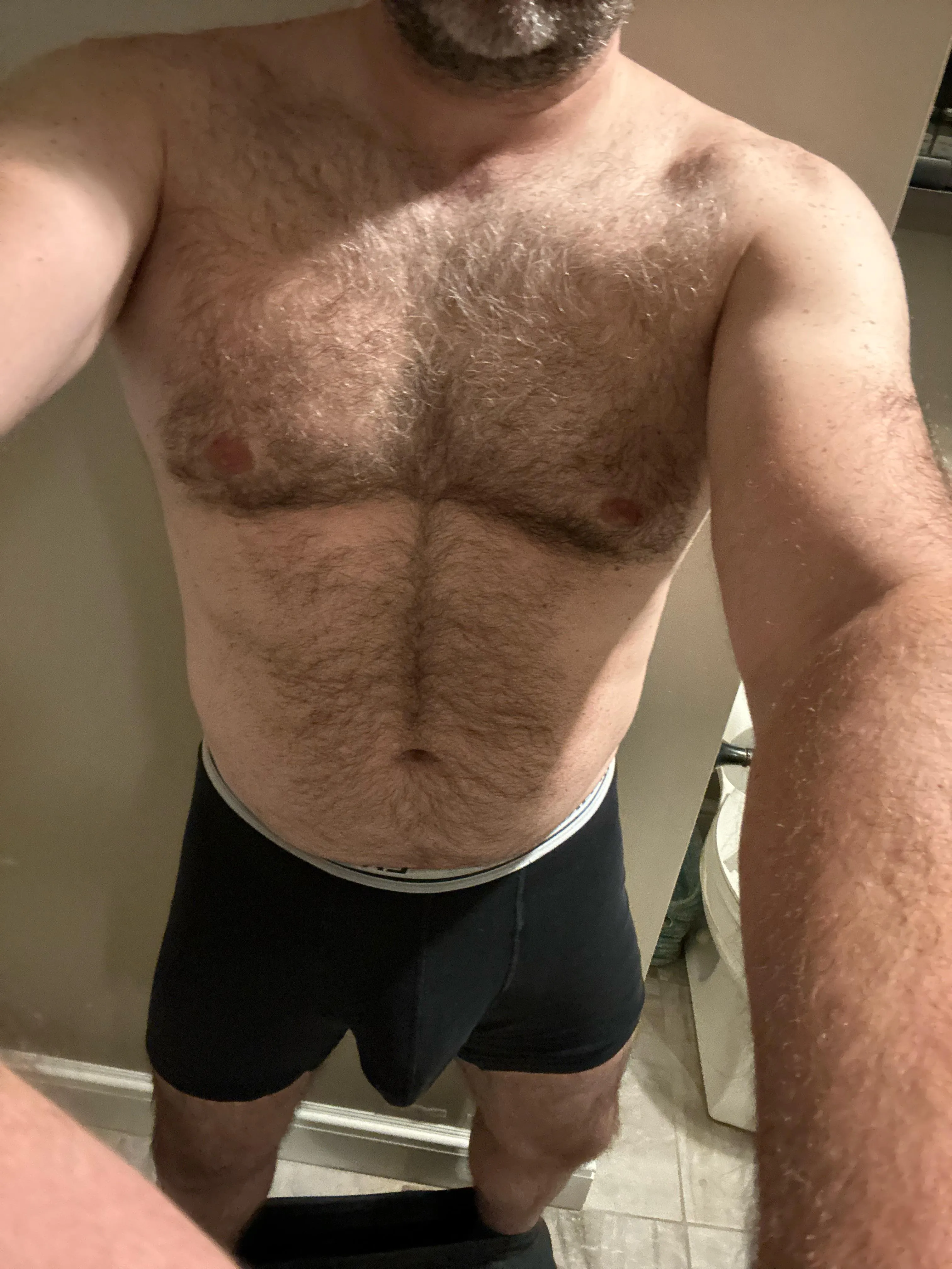 46 Daddy Bear
