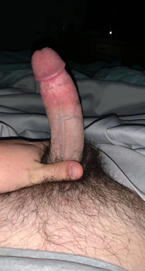Cock a little dry this morning. Help? 31 Asheboro area