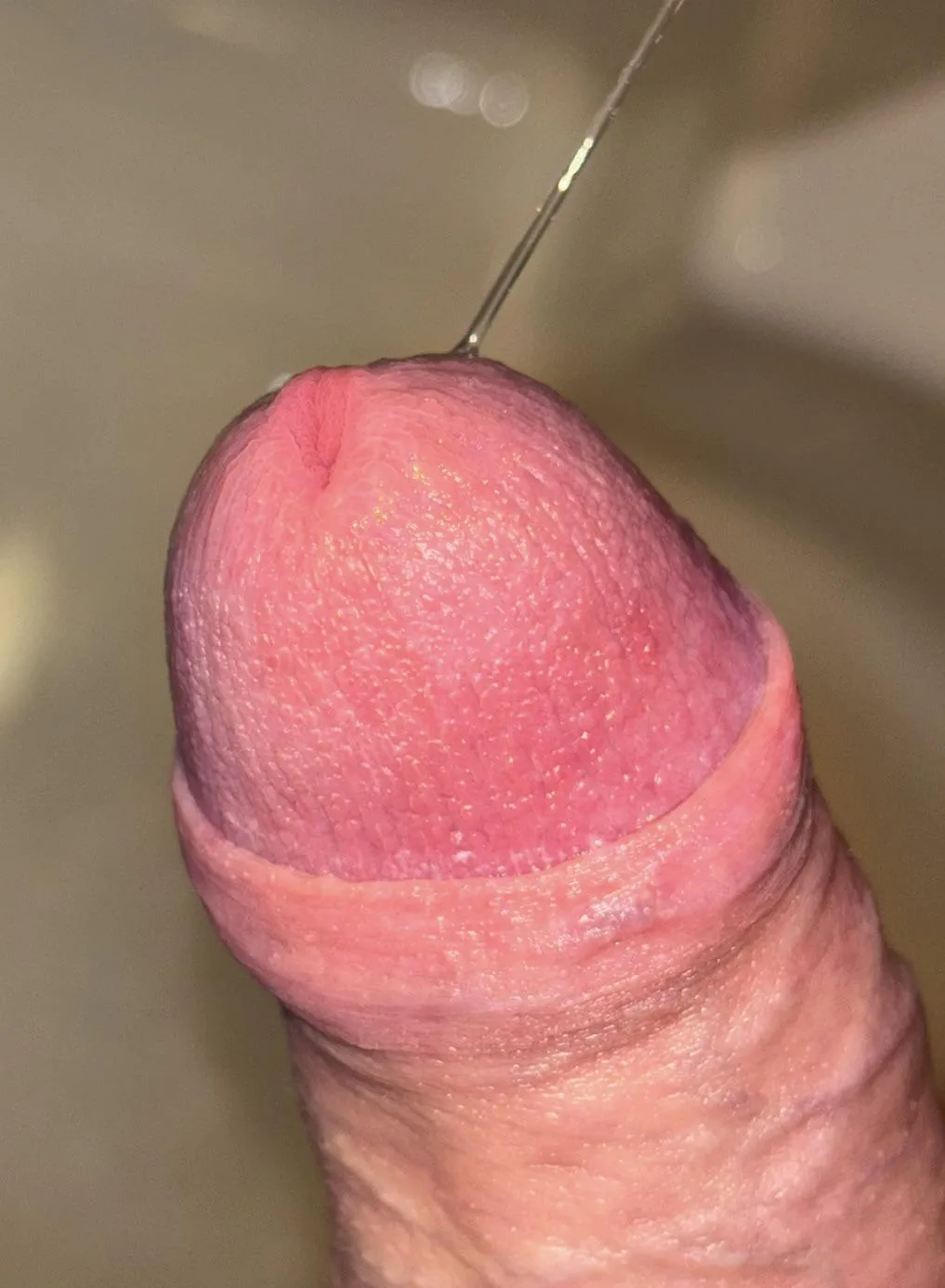 Domme has denied me for 18 straight days