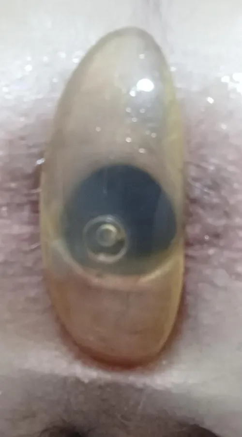 Love feeling plugged