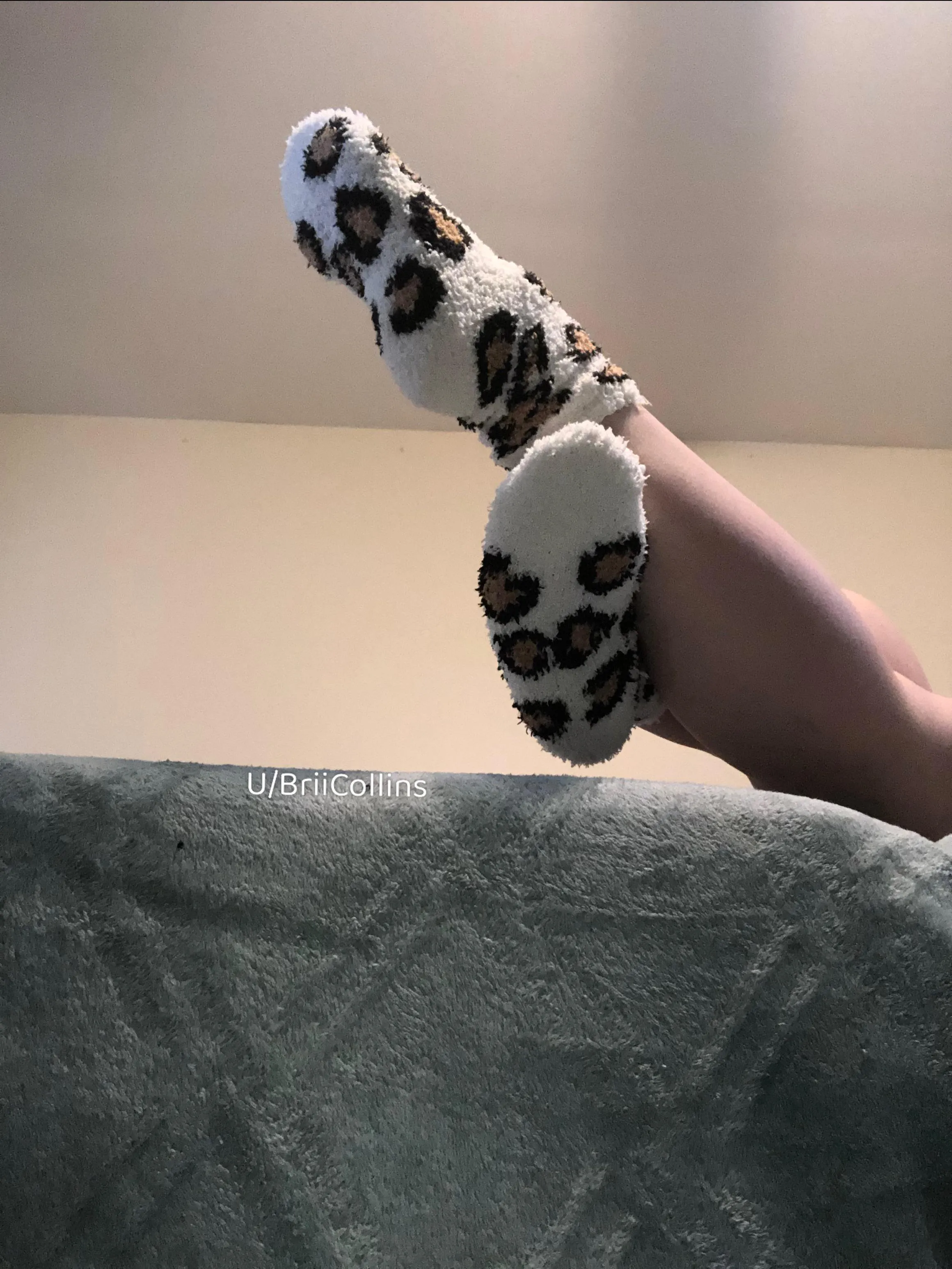 Would you enjoy these sockies?🤍