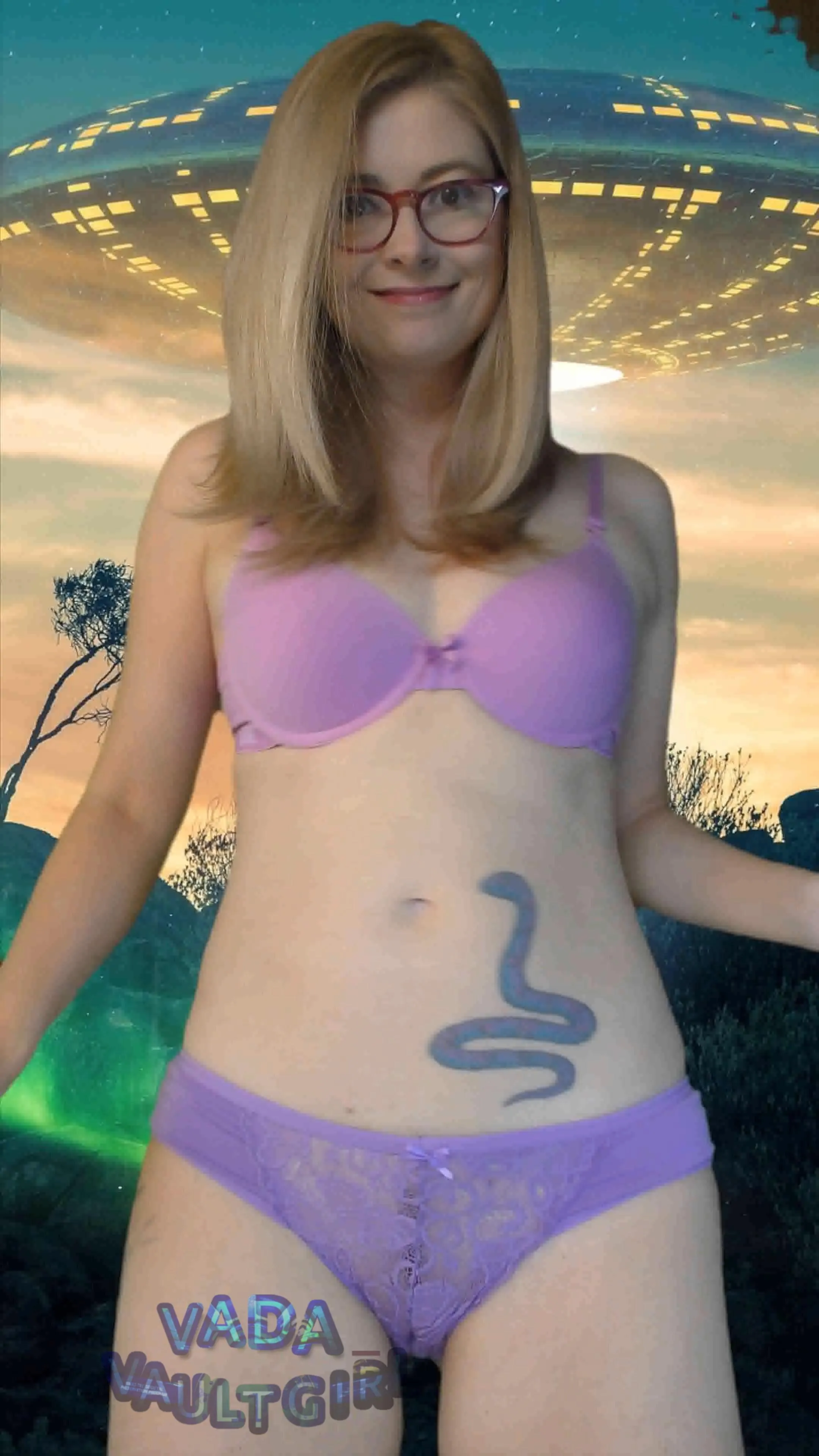 133,717 ufo sightings reported since 1995