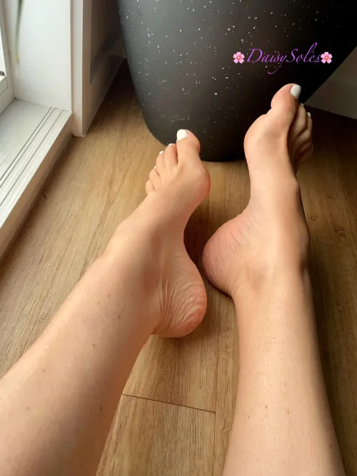 White tipped, well arched - made to be adored