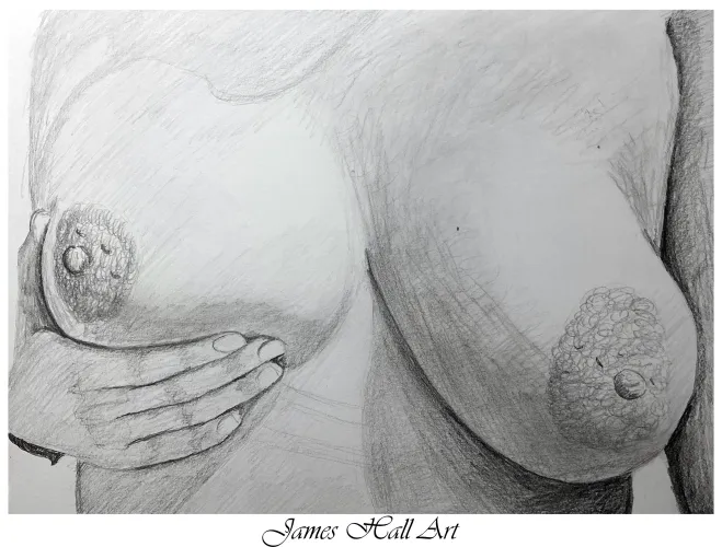 Anonymous Reddit user, by JamesHallArt (me) , A4 Graphite