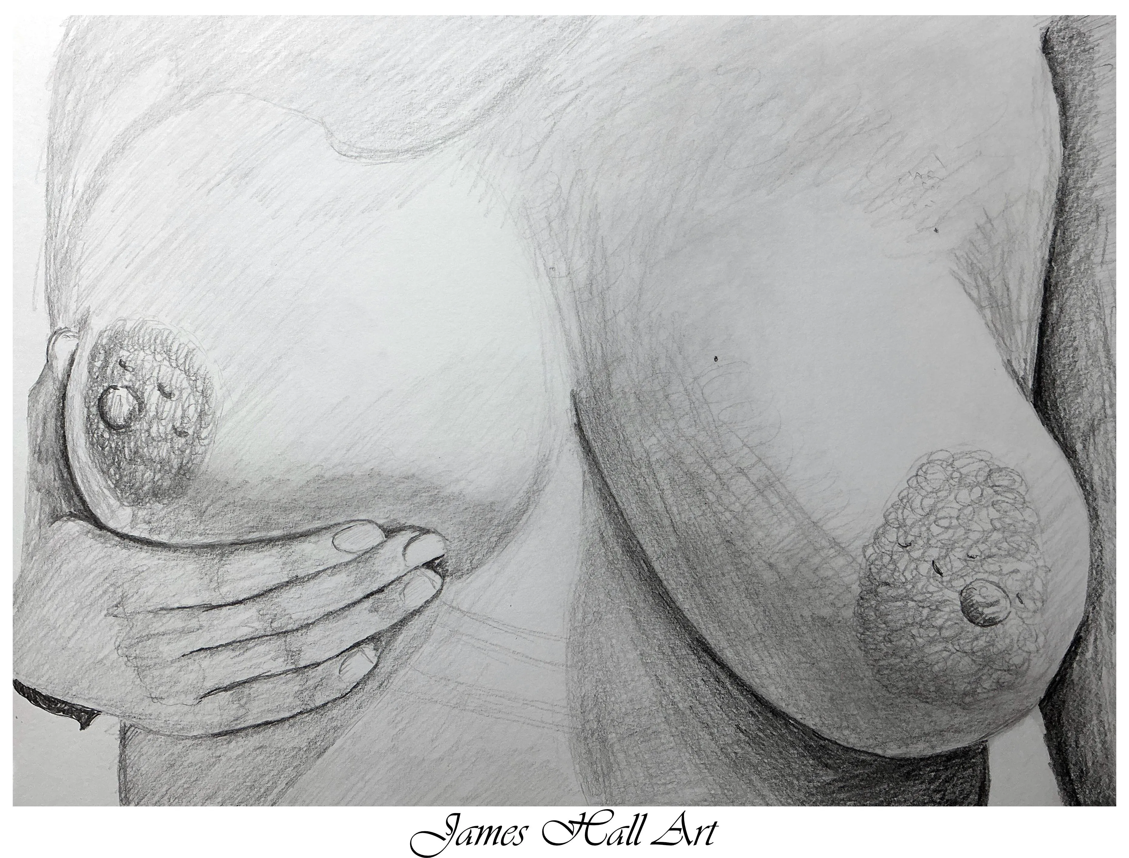 Anonymous Reddit user, by JamesHallArt (me) , A4 Graphite