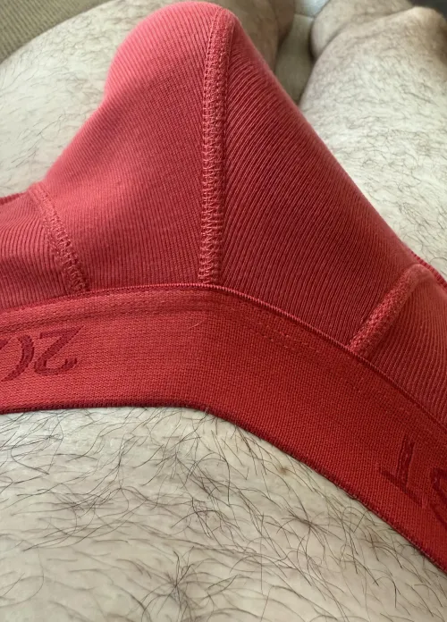 Lazy briefs only day!