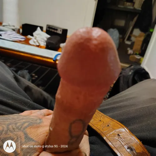 Quickie in ocklawaha