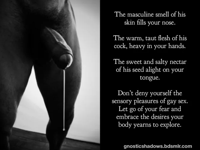 Sensory Pleasures