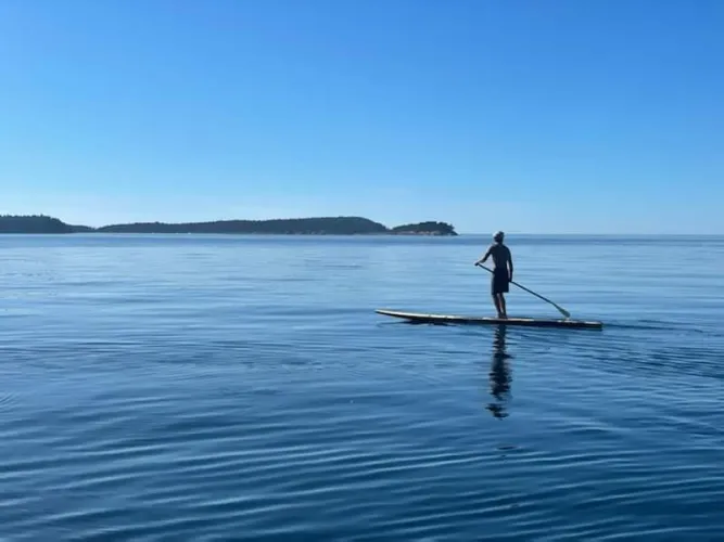 Snohomish county, Lake Goodwin any ladies wanna paddle board? Possibly puff a joint?