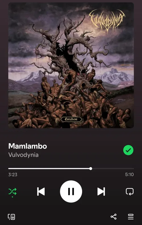 Thoughts on Vulvodynia?