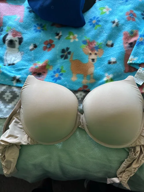 38dd