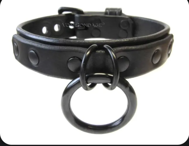 Where can I find the D ring - O ring combo? And what is it called?