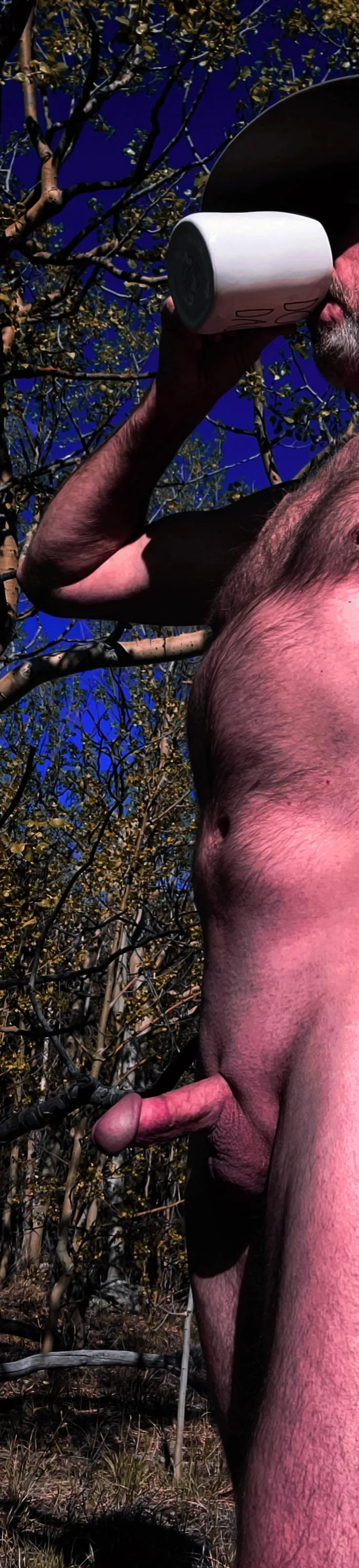 Coffee among the trees.