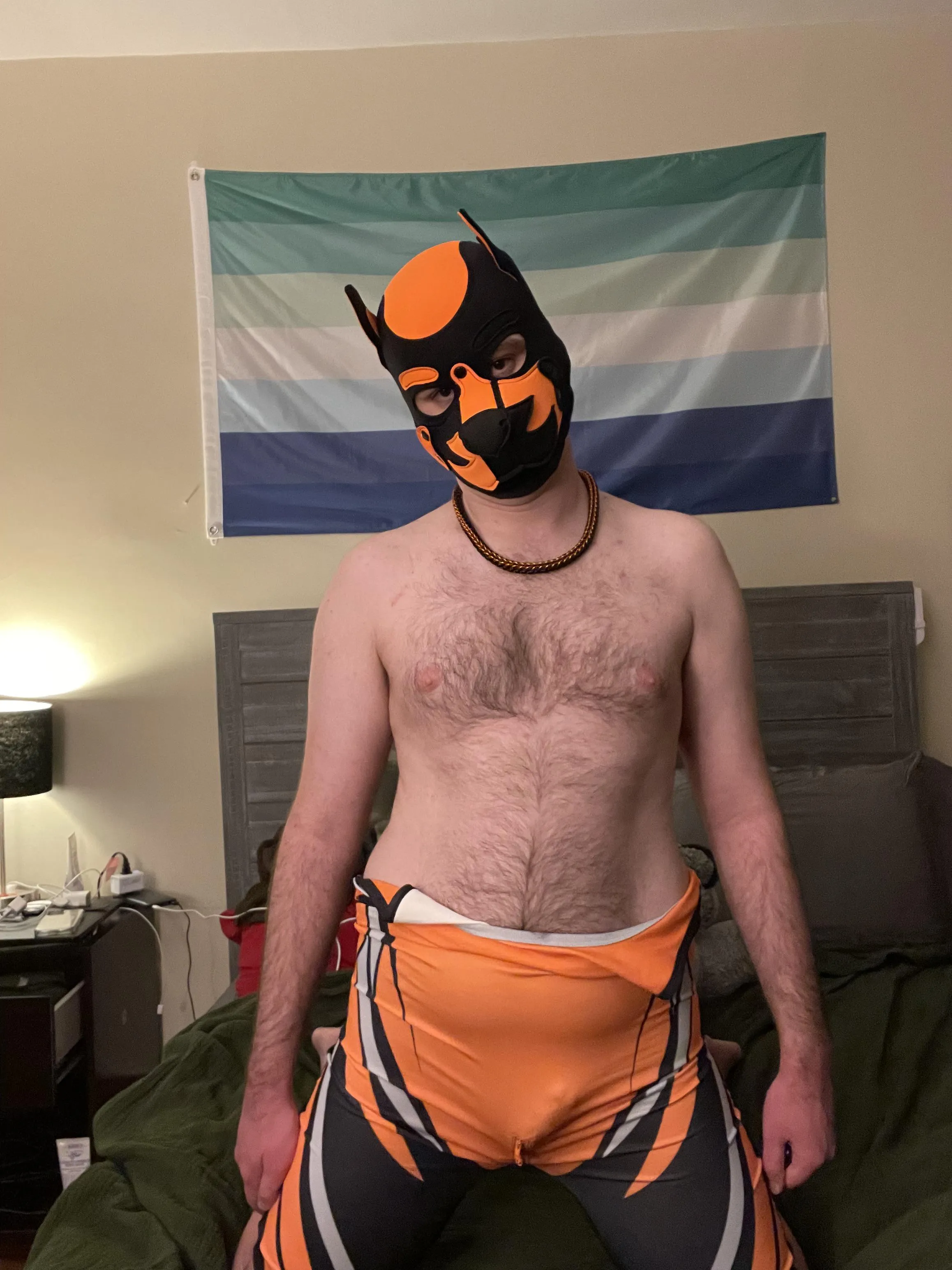 Come free my bone and get to work mutt 😈