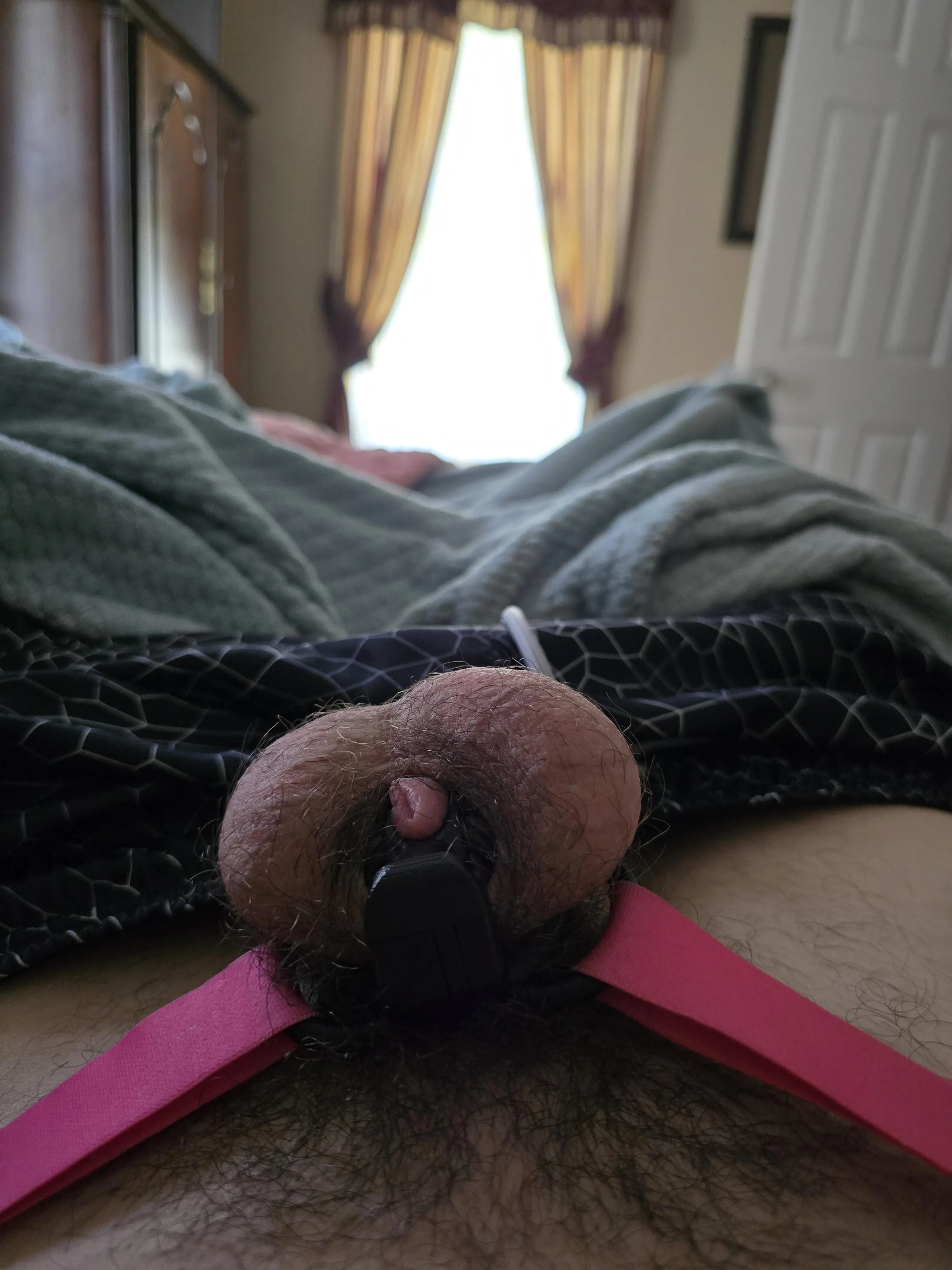 Day 12 caged. I'm definitely feeling the horniness today..😅🤤😈