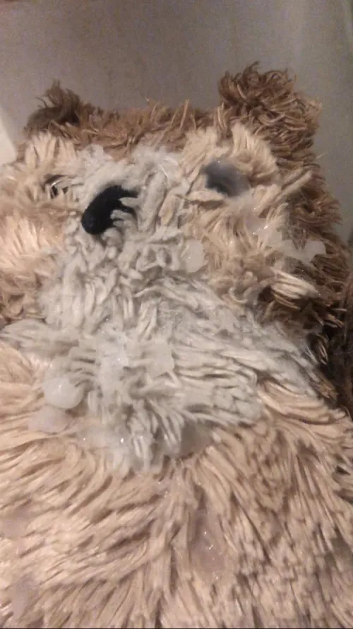 Gave my owl some love