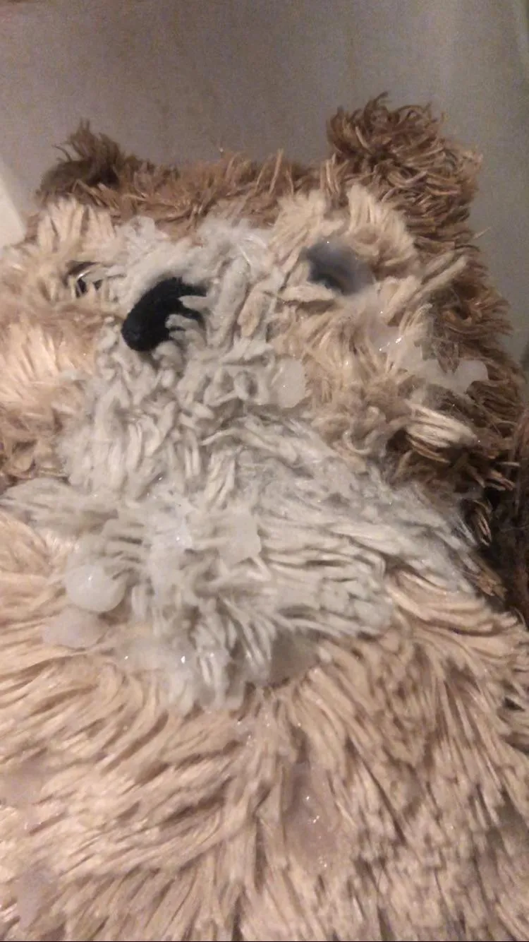 Gave my owl some love