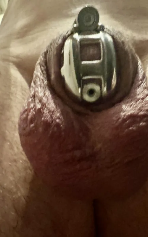 New cage after 6 months permanent chastity