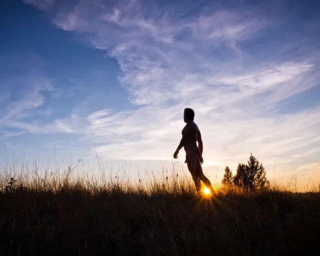 sunset silhouette walk