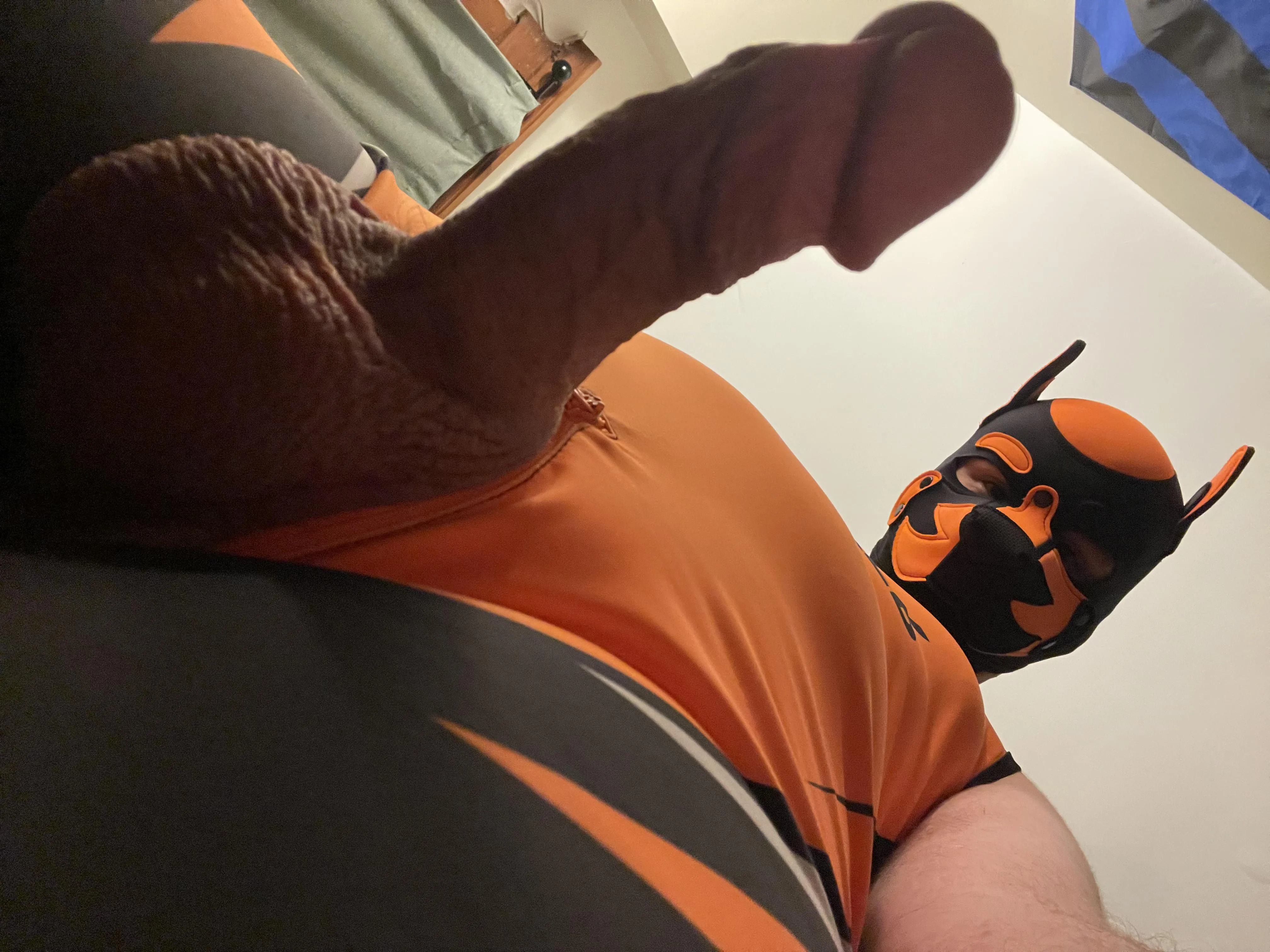 This pup is going to pin you down and breed you nice and deep 😈