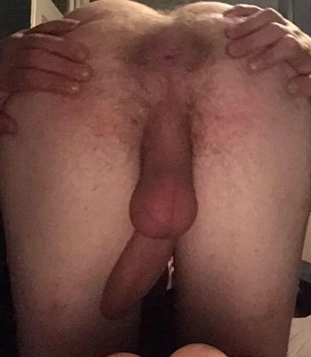 u/narrow-struggle9354 lost and bent over