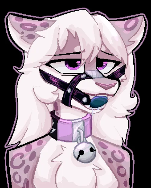 gagged snep (mossky) [F]